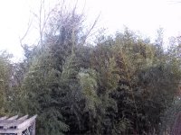 000_0015.JPG