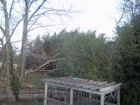 000_0016.JPG