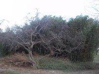 000_0021.JPG