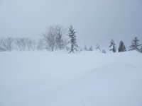 winter10.jpg