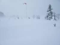 winter8.jpg