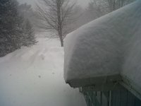 Feb 02 Storm 2011.JPG