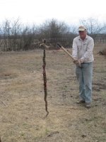 Snake 1 2011 (2).jpg