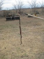 Snake 1 2011.jpg