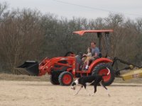 Zoe Daddy Tractor (7).jpg