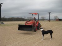 Zoe Daddy Tractor (10).jpg