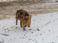 2855.jpg