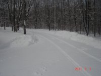 DSC03263.JPG