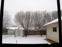 Snow 010.JPG