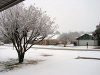 Snow 011.JPG