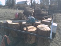 IMG_20110216_143729.jpg