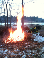 image-3601087689.png