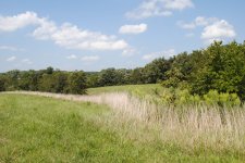 Pond b4 - 5.jpg
