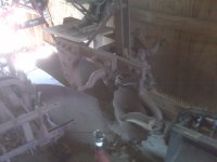 IMG00532.jpg