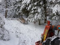 WinchingFirewood2.JPG