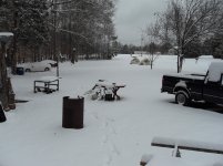 Snow - Jan. 10, 2011 002.jpg