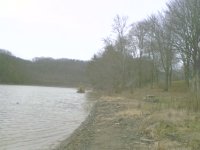 1127001027.jpg