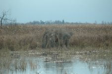 DSC_0056.JPG