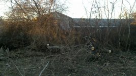 2010-11-28_15-56-01_644.jpg
