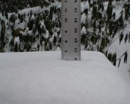 Jan 10 Snow Small-2.jpg