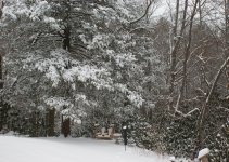 Jan 10 Snow Small-3.jpg