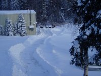 Winter 2006.jpg