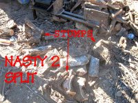 stumps 2e.jpg