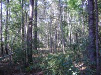Land 10.20.10 005.jpg
