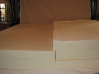 IMG_5441.jpg