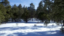 2011-01-04_14-47-29_828.jpgRS.jpg
