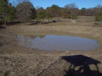 2Pond 11_27.JPG