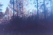 004_4.JPG