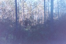 005_5.JPG