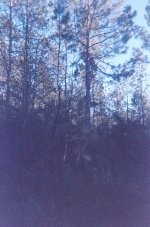 006_6.JPG