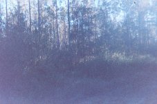 008_8.JPG