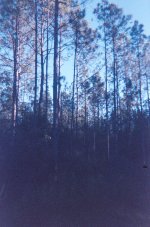 010_10.JPG