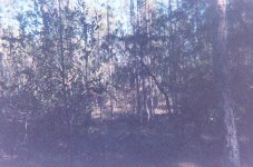 012_12.JPG