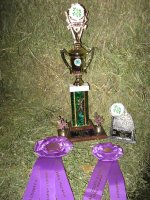 4-H.jpg