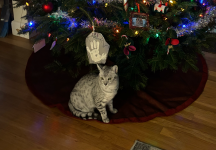 IMG_0867.png