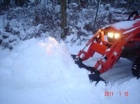 Snow2011 001.jpg
