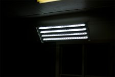 light.jpg