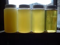 zoil.JPG
