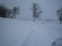 IMG_1818.jpg
