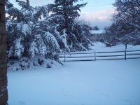 000_0008.JPG