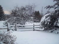 000_0010.JPG