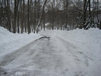 IMG_3768s.JPG