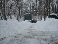 IMG_3769s.JPG