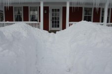 DSC_0028.jpg