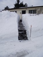 FrontWalk 2011-02-23- 007.jpg