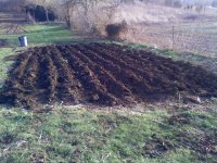 garden.jpg